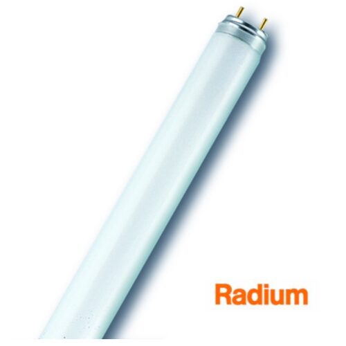 LAMPADA FLUO LINEARE 14W/865 - LUCE FREDDA