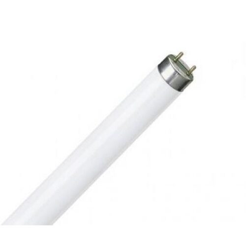 LAMPADA FLUORESCENTE LINEARE 36W/21-840 G13 T
