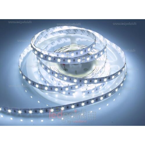 STRIP 3528 6000K 12V 48W 120LED/M 5MIP65 CS CHIARO